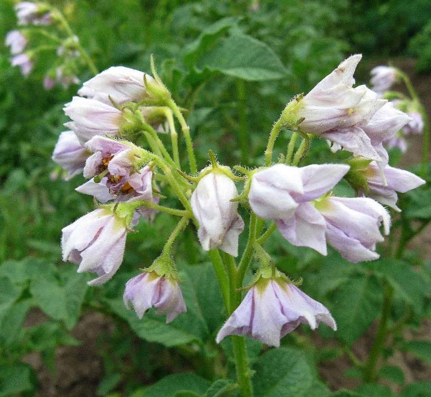 ��� ����� ��� �������� ! ����� Natali  ��������� �� PhotoGeek.ru #������ ��� ������� #����� ��������������