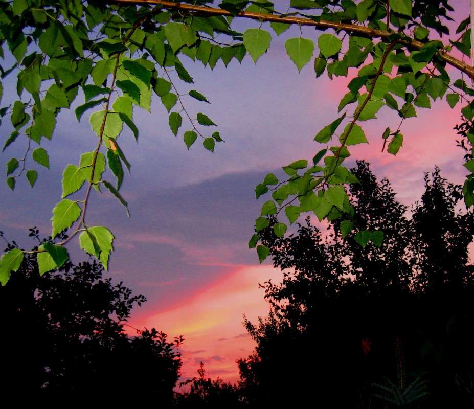 ... ����� Natali  ��������� �� PhotoGeek.ru #������ ��� ������� #����� ��������������