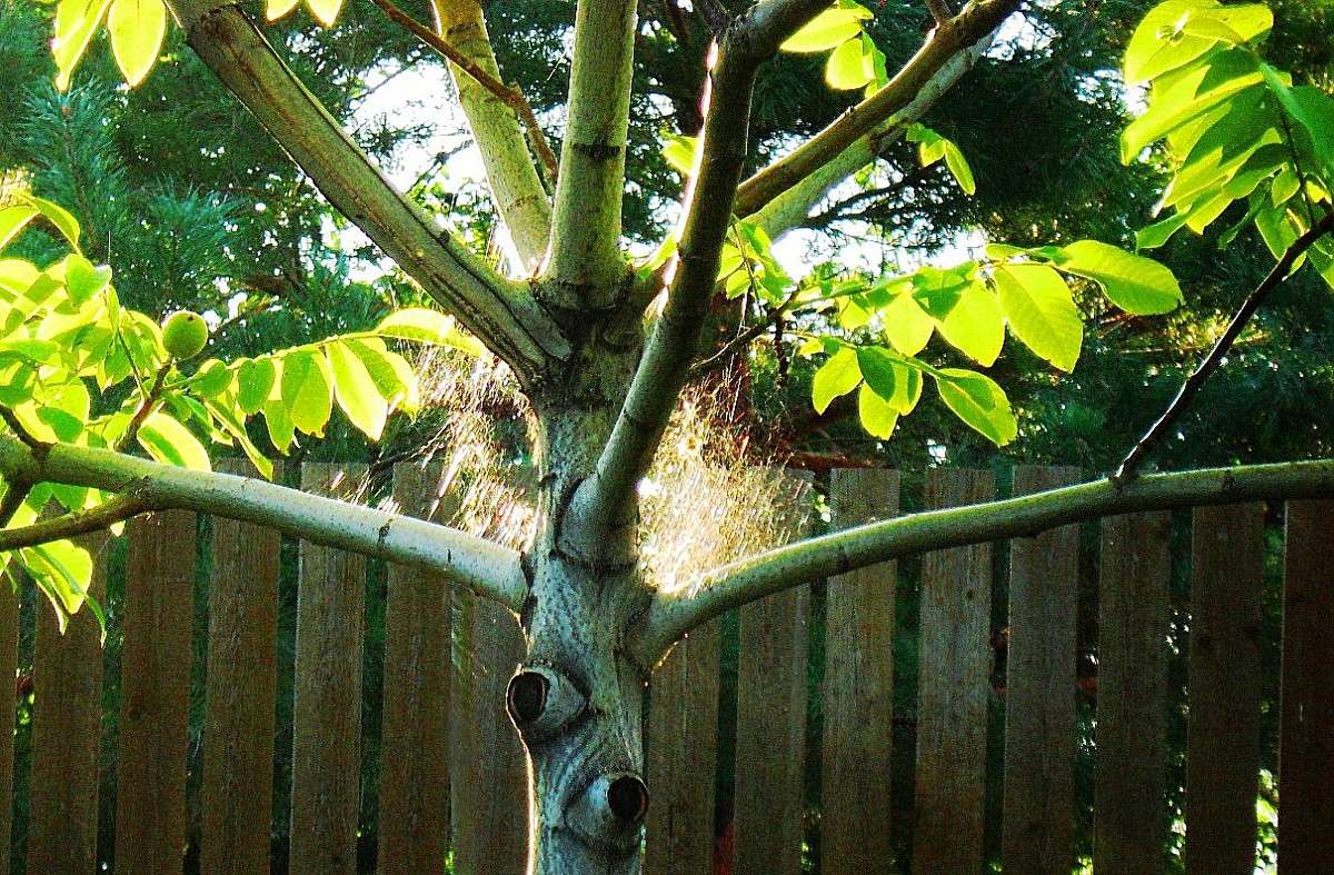 ���� ������ �������. ����� Natali  ��������� �� PhotoGeek.ru #������ ��� ������� #����� ��������������