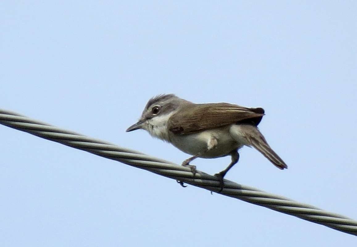 ��������� ����� ) ����� Natali  ��������� �� PhotoGeek.ru #�������� ��� #����� ��� ��� ���������