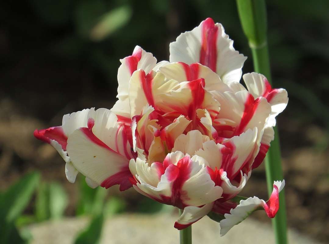 ... ����� Natali  ��������� �� PhotoGeek.ru #������ ��� ������� #����� ��������������