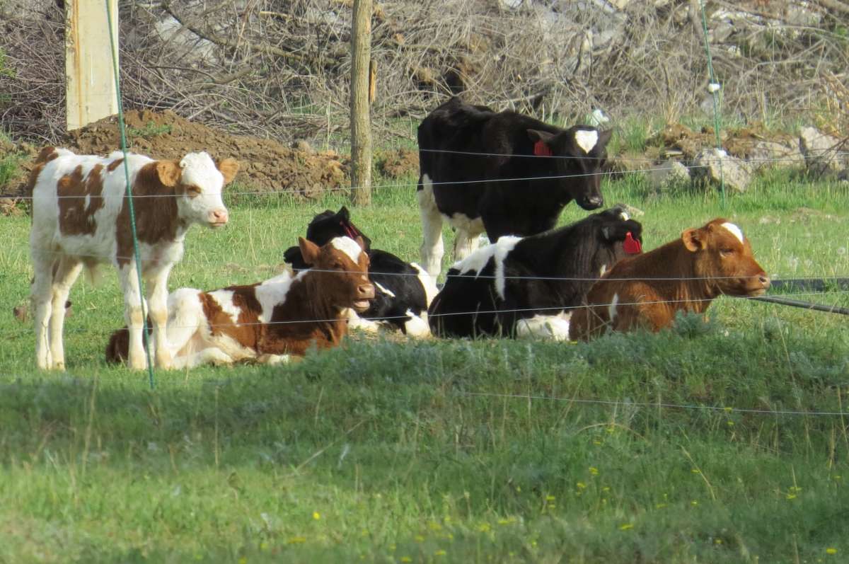 �� ����������   ((( ����� Natali  ��������� �� PhotoGeek.ru #�������� ��� #�������� ���