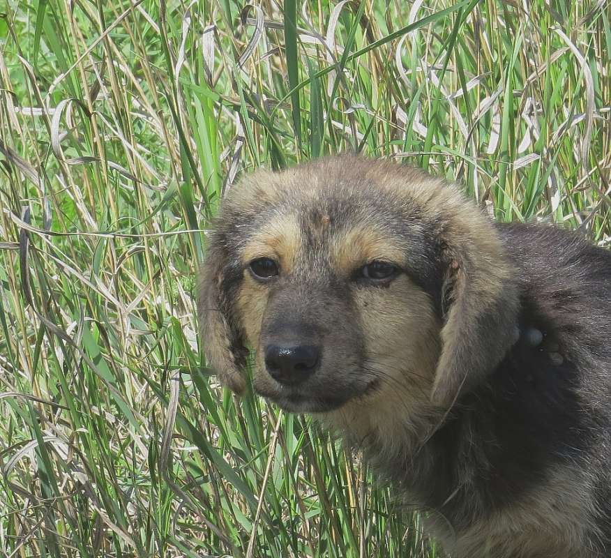 ����� (((    2 ����� Natali  ��������� �� PhotoGeek.ru #�������� ��� #����� ��� ��� ���������