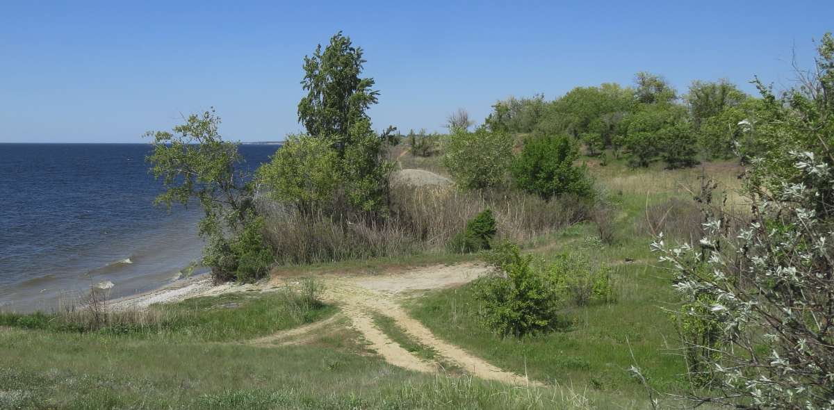 ���� �����   ������ � ������ �������� ����. ) ����� Natali  ��������� �� PhotoGeek.ru #������ ��� �������