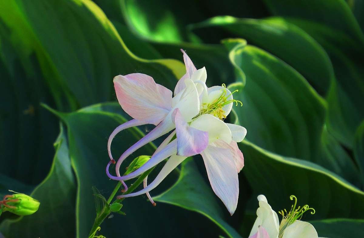 ��� � ���� ������ ...)    2 ����� Natali  ��������� �� PhotoGeek.ru #������ ��� ������� #����� ��������������