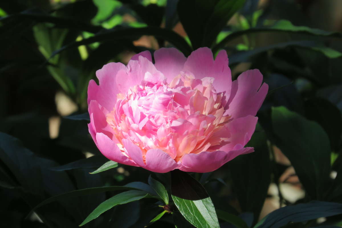 ��� � ���� ������ ...)   3 ����� Natali  ��������� �� PhotoGeek.ru #������ ��� ������� #����� ��������������