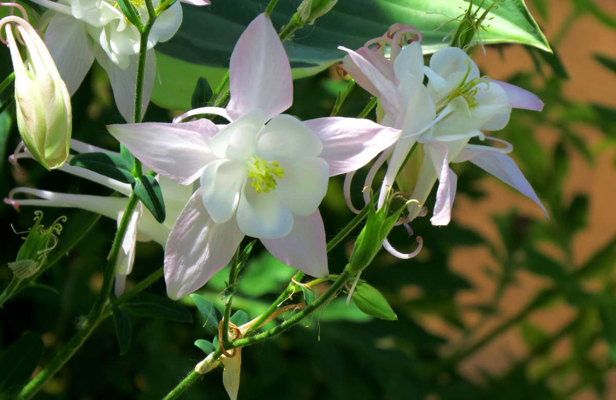 ��� � ���� ������ ...)    4 ����� Natali  ��������� �� PhotoGeek.ru #������ ��� ������� #����� ��������������