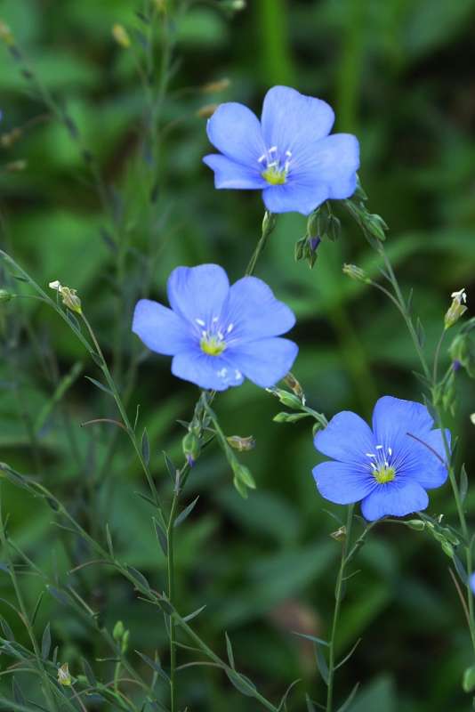 ��� � ���� ������ ...)    5 ����� Natali  ��������� �� PhotoGeek.ru #������ ��� ������� #����� ��������������