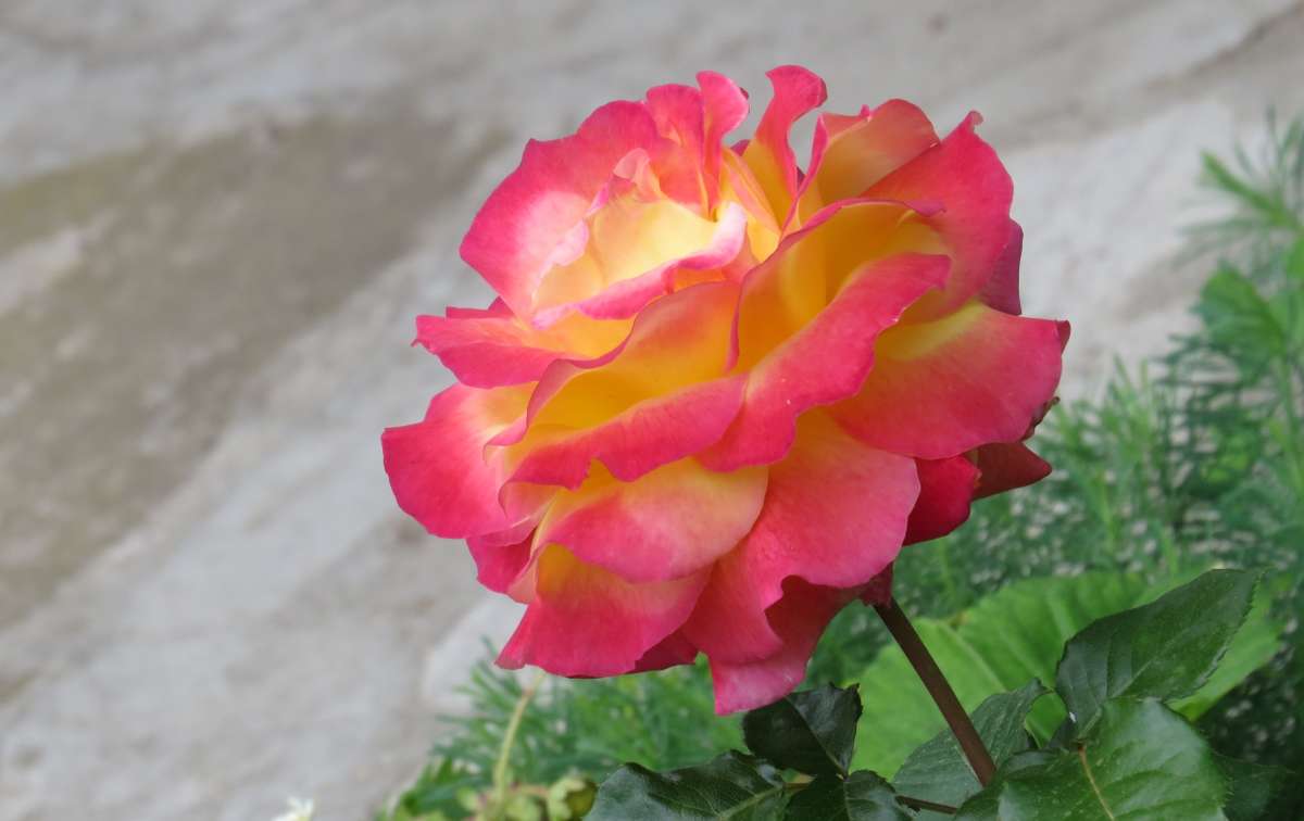 ��� � ���� ������ ...)   8 ����� Natali  ��������� �� PhotoGeek.ru #������ ��� ������� #����� ��������������