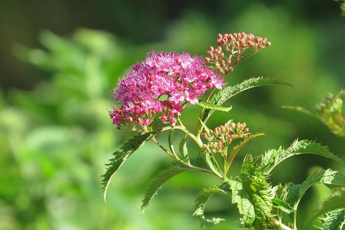 ... ����� Natali  ��������� �� PhotoGeek.ru #������ ��� ������� #����� ��������������