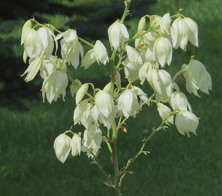 ... ����� Natali  ��������� �� PhotoGeek.ru #������ ��� ������� #����� ��������������