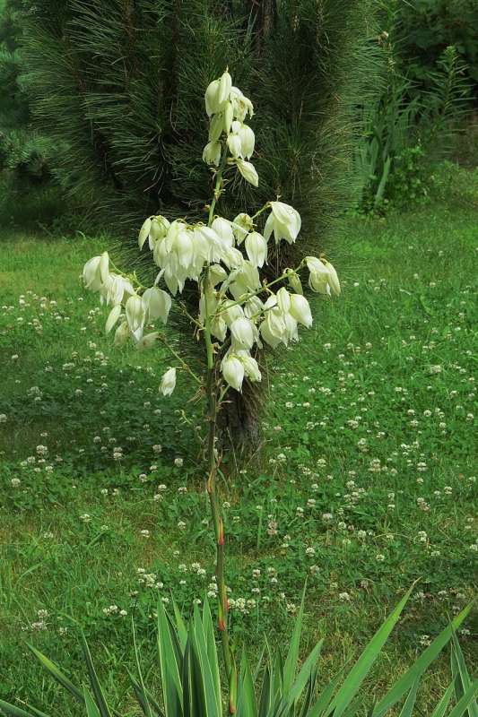 ... ����� Natali  ��������� �� PhotoGeek.ru #������ ��� ������� #����� ��������������