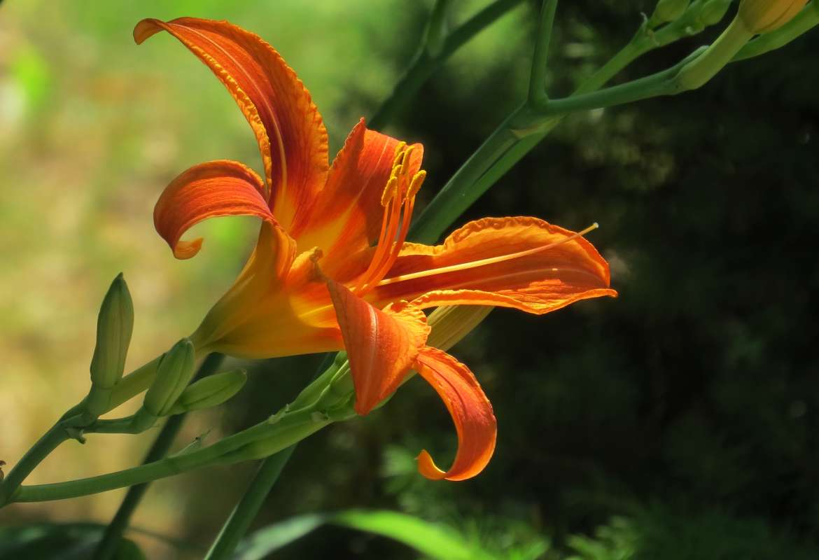 ...  Natali chek   PhotoGeek.ru #   # 