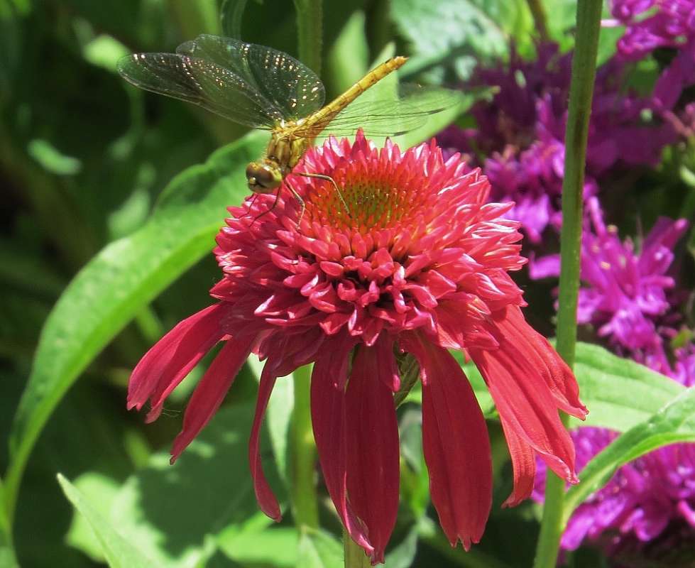 ��� �������� 2 ����� Natali  ��������� �� PhotoGeek.ru #������ ��� ������� #����� �������������� #���������