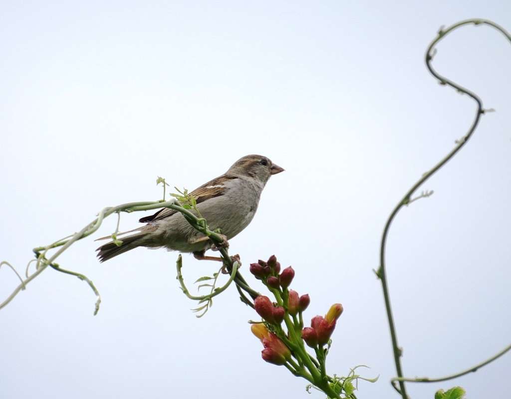 ...  Natali chek   PhotoGeek.ru #  #   