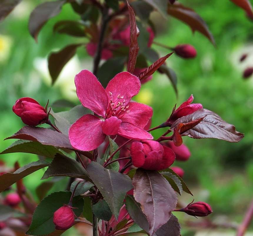 ��� ������ �����. ������ ^__^    7 ����� Natali  ��������� �� PhotoGeek.ru #������ ��� ������� #����� ��������������