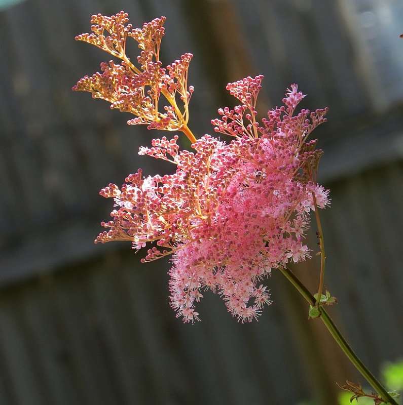 ��� ������� ��������   ))) 2 ����� Natali  ��������� �� PhotoGeek.ru #������ ��� ������� #����� ��������������