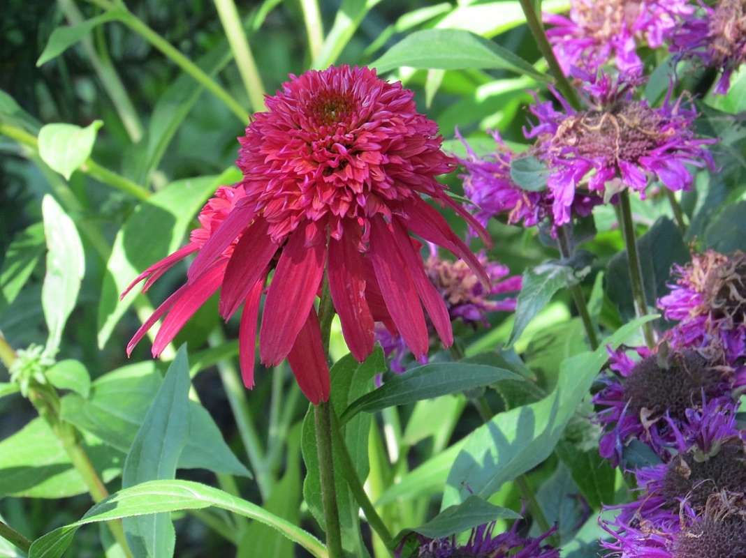 ��� �������� ))) ����� Natali  ��������� �� PhotoGeek.ru #������ ��� ������� #����� ��������������