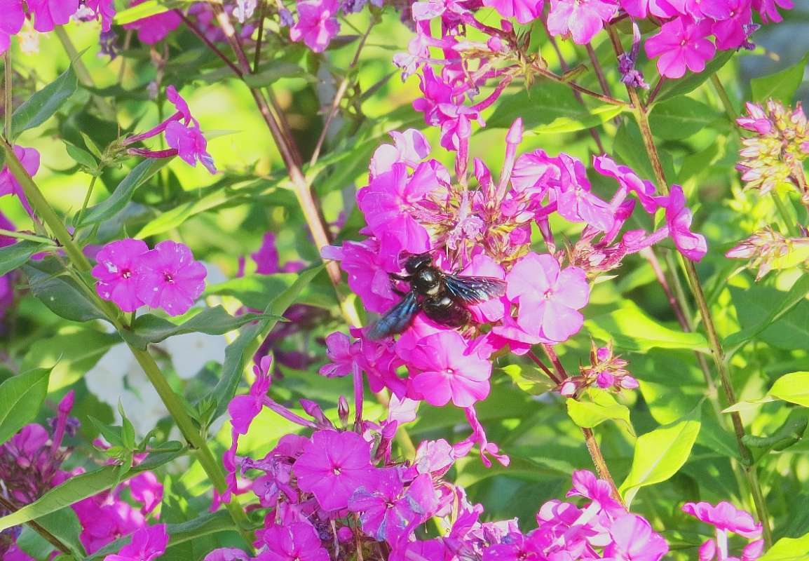 ... ����� Natali  ��������� �� PhotoGeek.ru #����� �������������� #���������