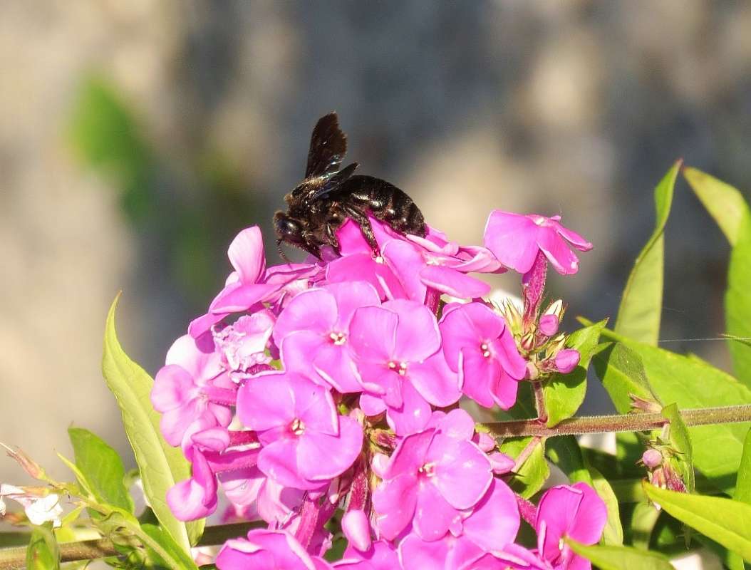 ... ����� Natali  ��������� �� PhotoGeek.ru #����� �������������� #���������