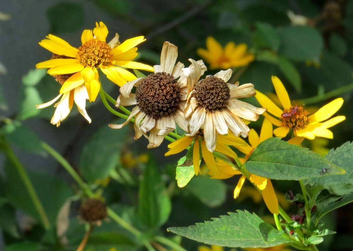 �����, ����� ... ����� Natali  ��������� �� PhotoGeek.ru #����� ��������������