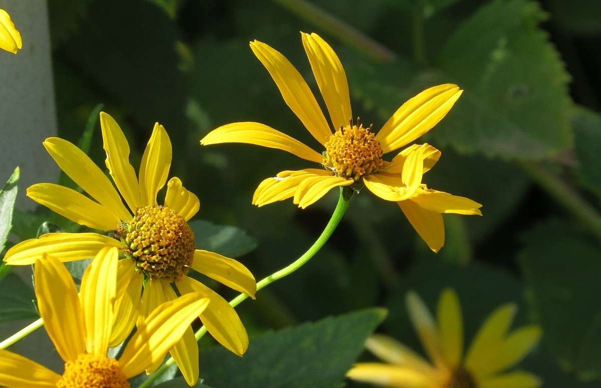 �����, ����� ... 2 ����� Natali  ��������� �� PhotoGeek.ru #����� ��������������