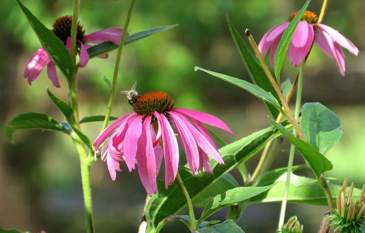 �����, ����� ... 6 ����� Natali  ��������� �� PhotoGeek.ru #����� �������������� #���������