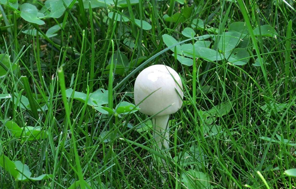 �����, ����� ... 4 ����� Natali  ��������� �� PhotoGeek.ru #����� ��������������