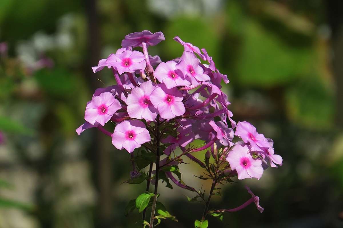 �����, ����� ... 8 ����� Natali  ��������� �� PhotoGeek.ru #����� ��������������