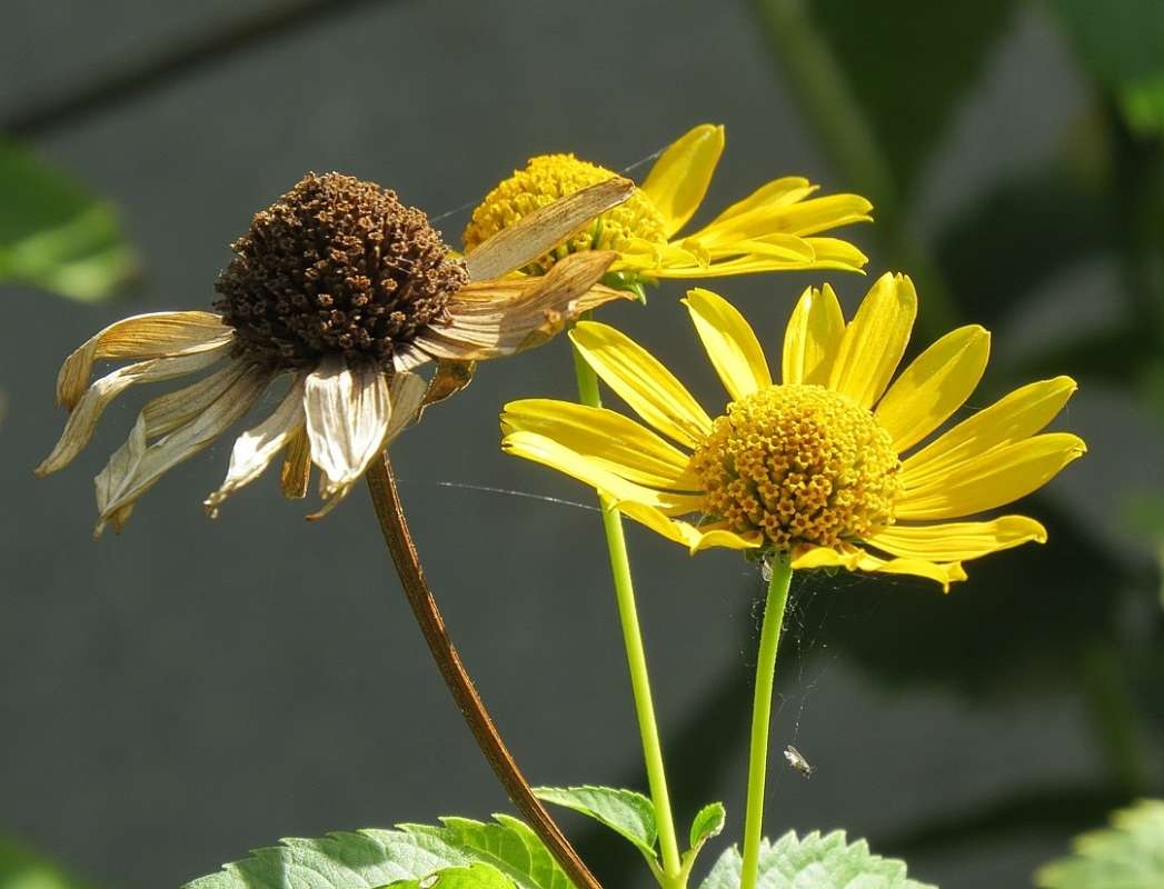 �����, ����� ... 10 ����� Natali  ��������� �� PhotoGeek.ru #������ ��� ������� #����� ��������������