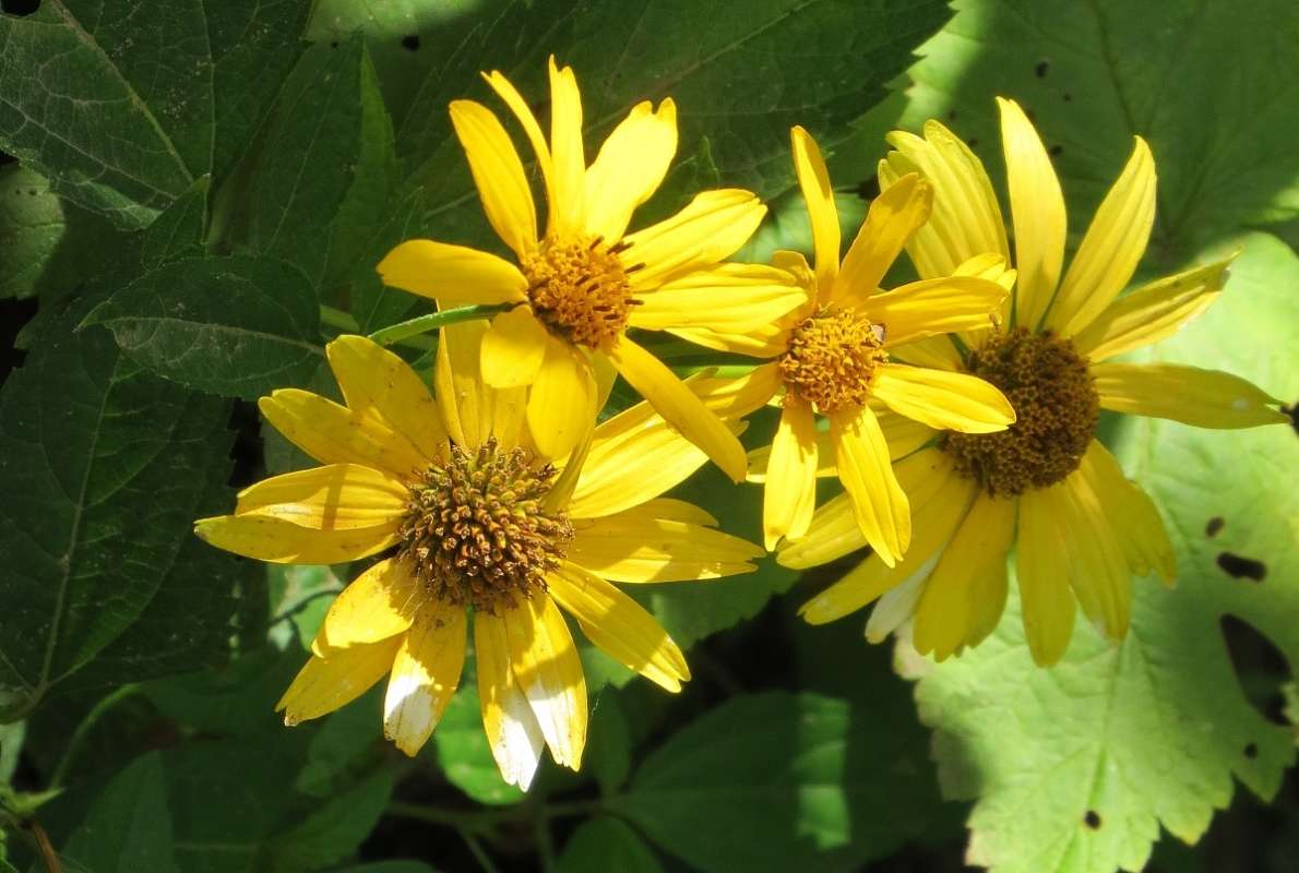 �����, ����� ... 7 ����� Natali  ��������� �� PhotoGeek.ru #������ ��� ������� #����� ��������������