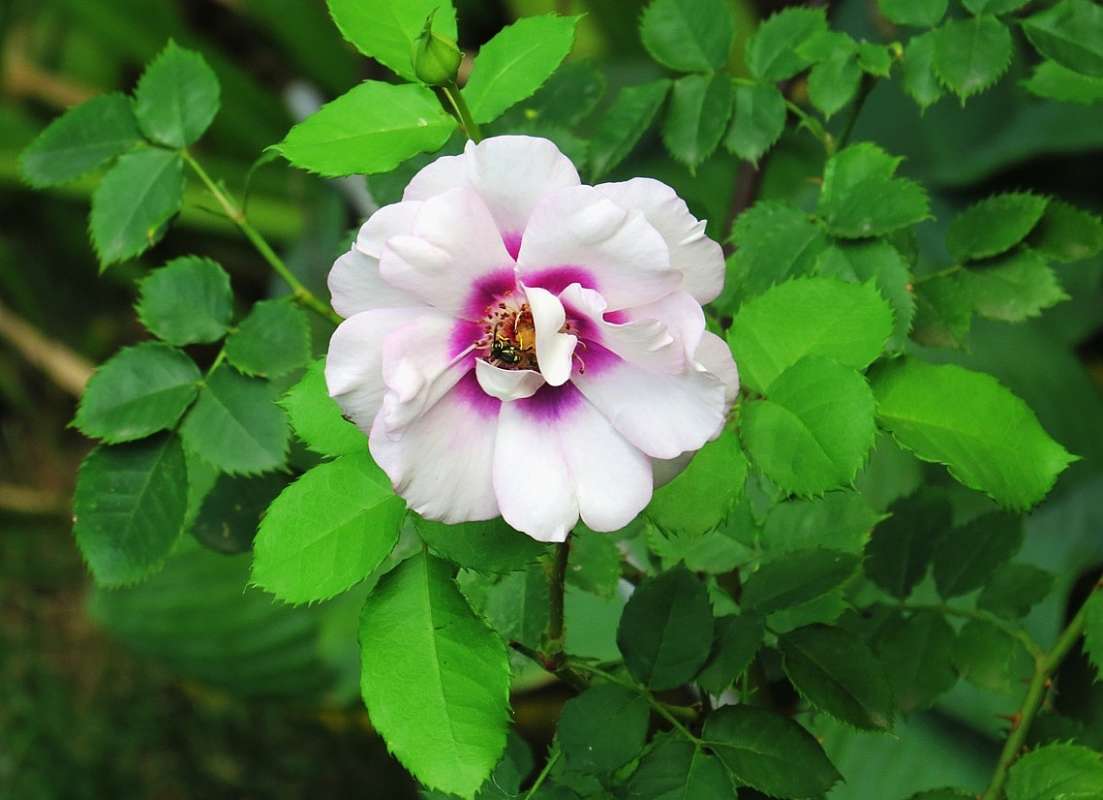 �����, ����� ... 9 ����� Natali  ��������� �� PhotoGeek.ru #����� ��������������