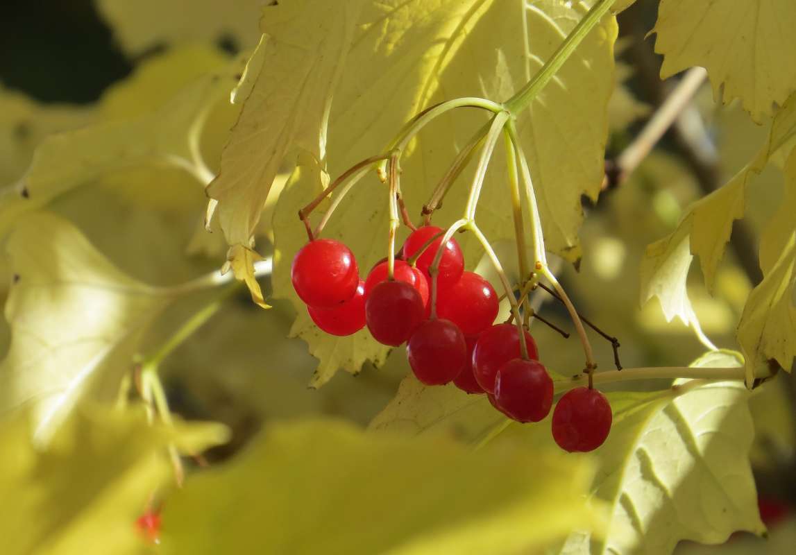 ������� ����� Natali chek ��������� �� PhotoGeek.ru #����� ��������������