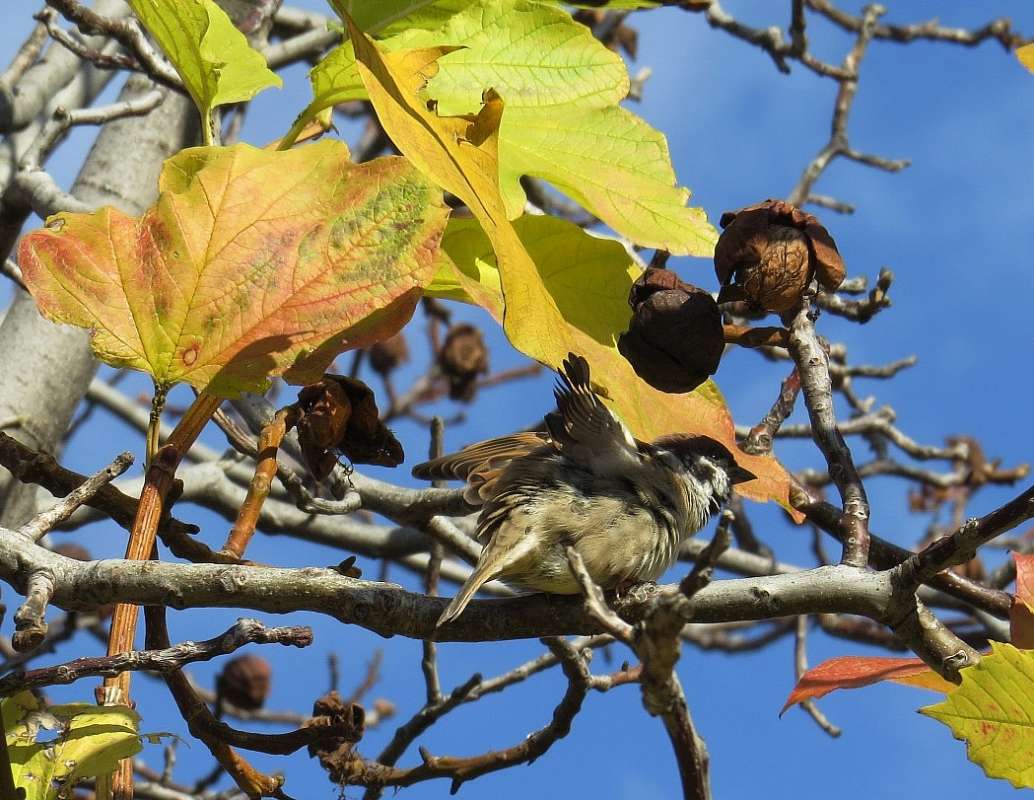 �� ����� ... ����� Natali  ��������� �� PhotoGeek.ru #�������� ��� #����� ��� ��� ���������