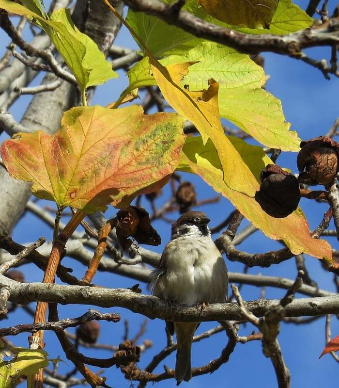 ��� ���������� ) ����� Natali  ��������� �� PhotoGeek.ru #�������� ��� #����� ��� ��� ���������