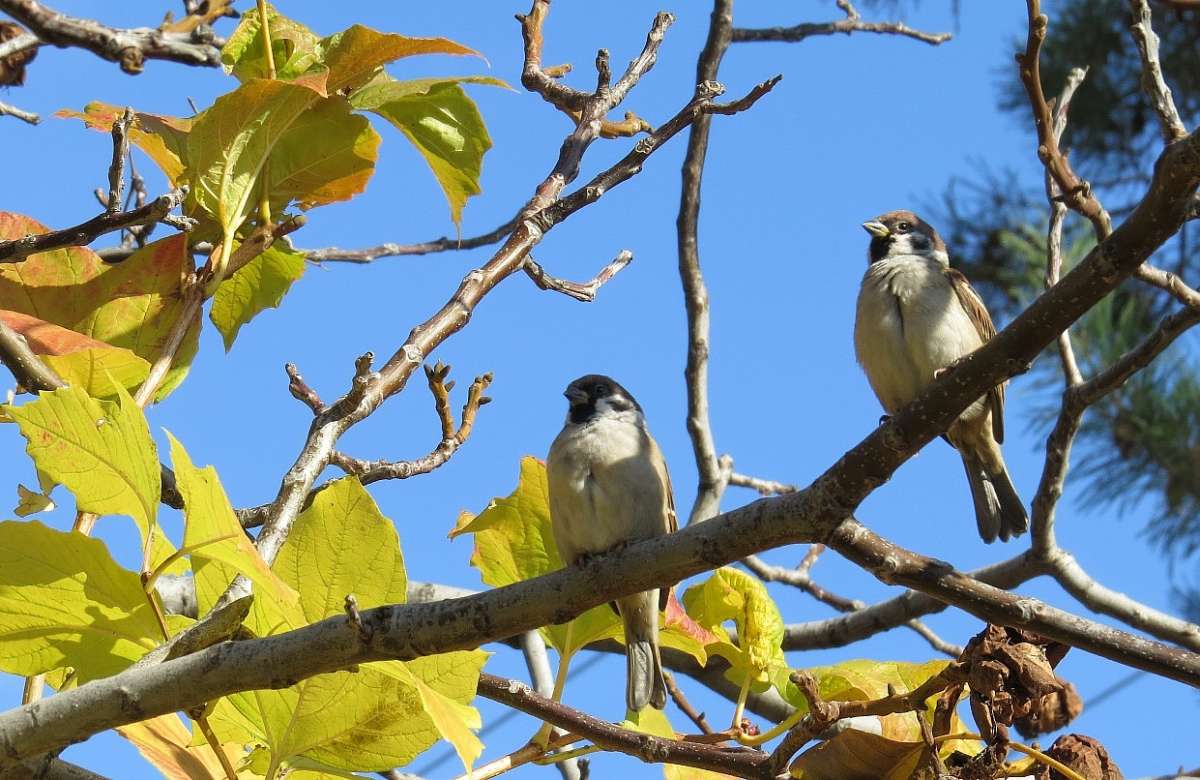 ������� ����� Natali  ��������� �� PhotoGeek.ru #�������� ��� #����� ��� ��� ���������