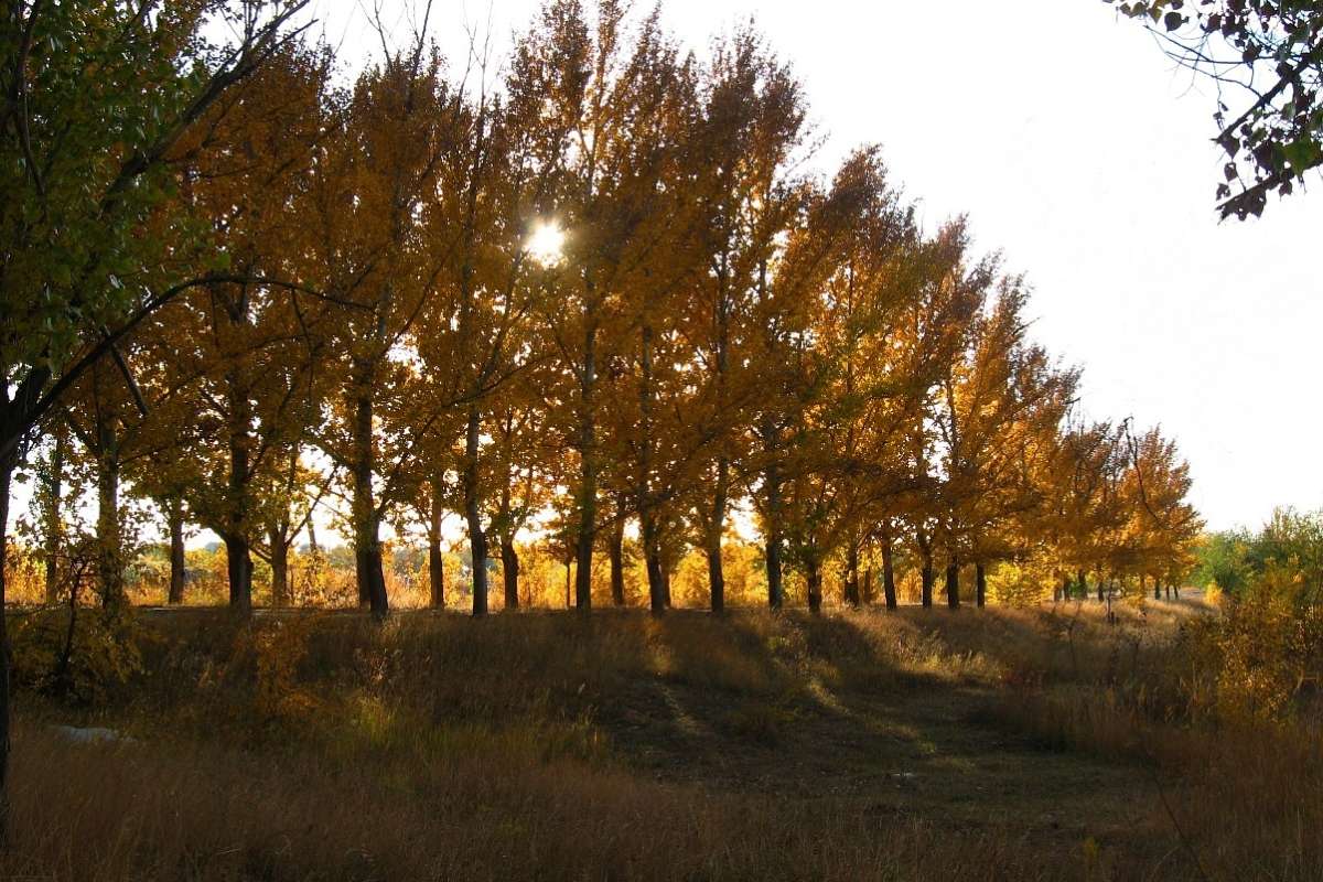 ��� ������� ������ ))) 3 ����� Natali  ��������� �� PhotoGeek.ru #������ ��� �������