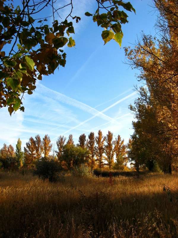 ��� ������� ������ ))) ����� Natali  ��������� �� PhotoGeek.ru #������ ��� �������