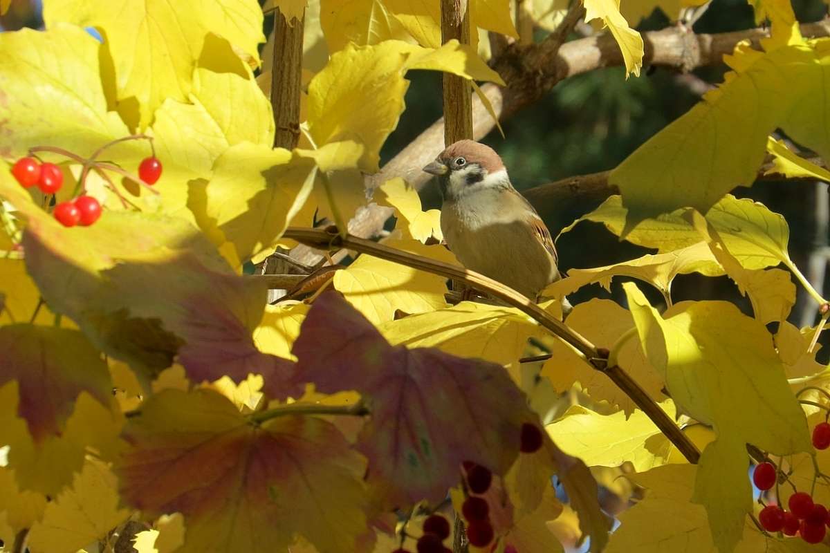 � ������� ����� Natali  ��������� �� PhotoGeek.ru #�������� ��� #����� ��� ��� ���������