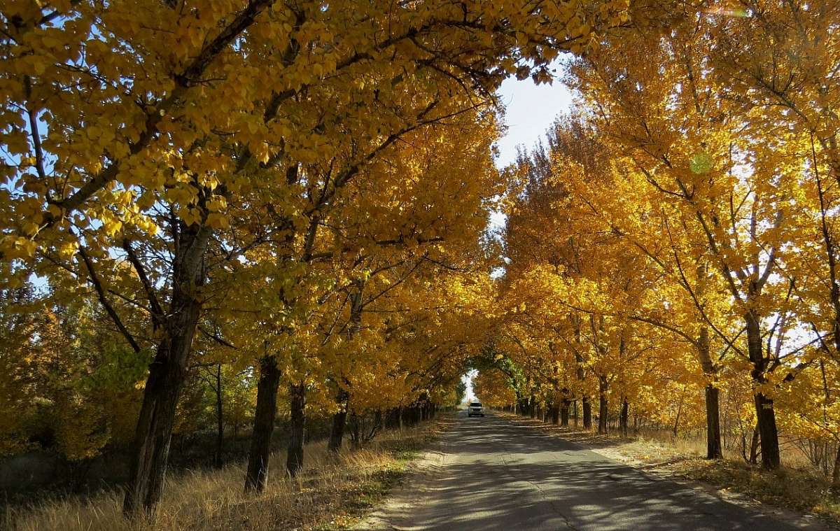 ��� ������� ������ 5 ����� Natali  ��������� �� PhotoGeek.ru #������ ��� �������