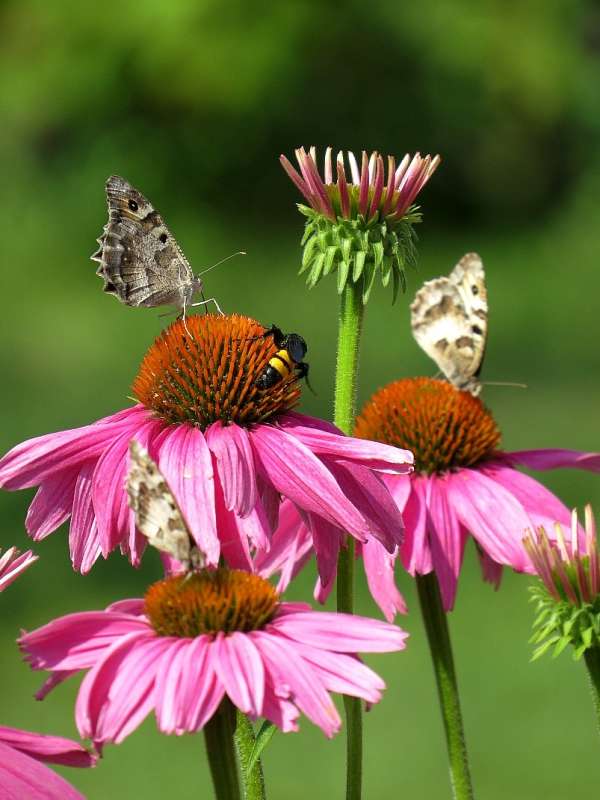 �������� ����� Natali  ��������� �� PhotoGeek.ru #���������