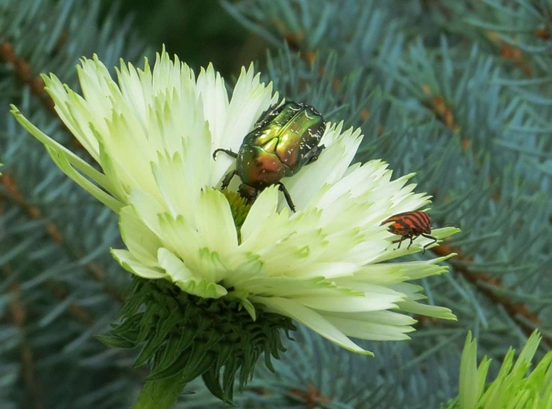 ... ����� Natali  ��������� �� PhotoGeek.ru #�����