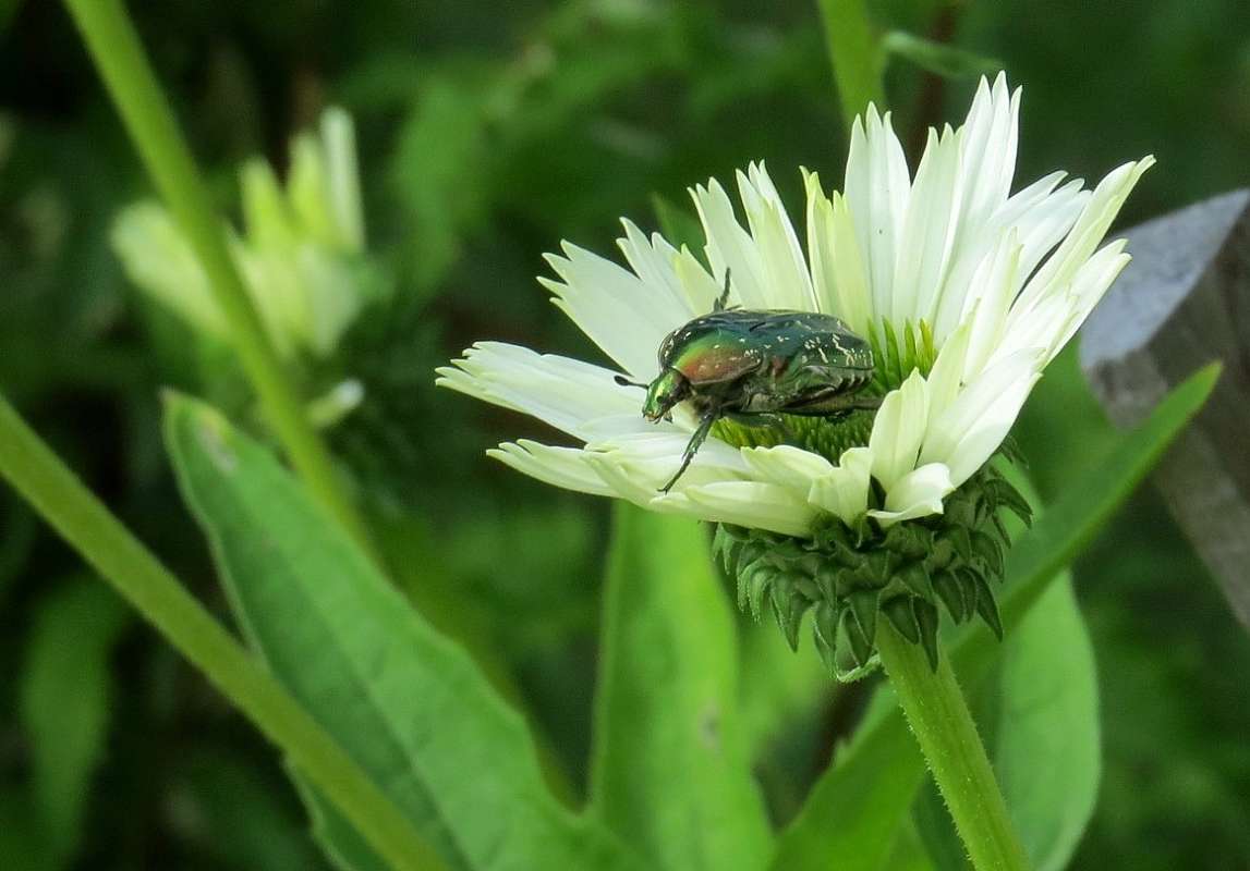 ... ����� Natali  ��������� �� PhotoGeek.ru #�����