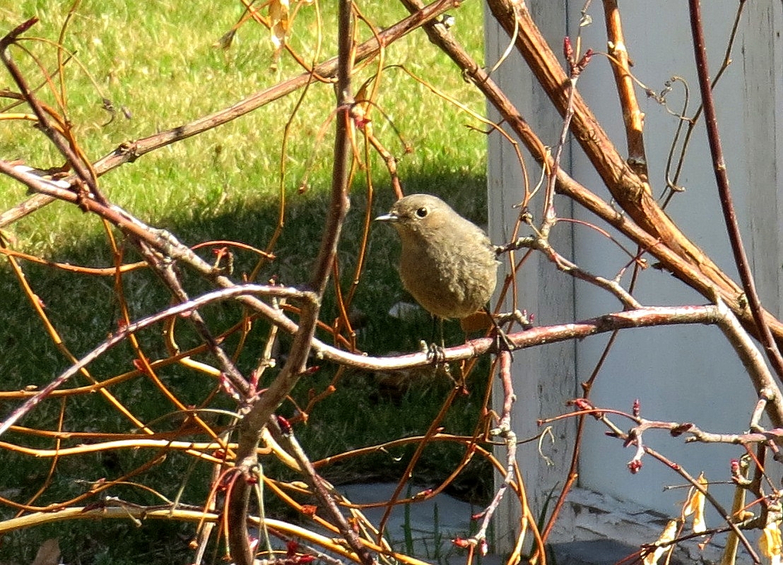 ... ����� Natali  ��������� �� PhotoGeek.ru #�������� ��� #�������� ���