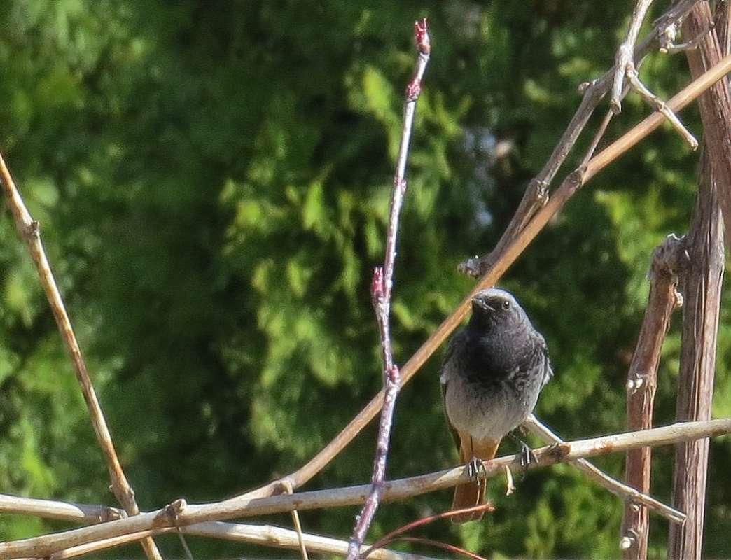 ... ����� Natali  ��������� �� PhotoGeek.ru #�������� ��� #����� ��� ��� ���������