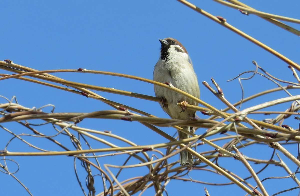 ������ ) ����� Natali  ��������� �� PhotoGeek.ru #�������� ��� #����� ��� ��� ���������