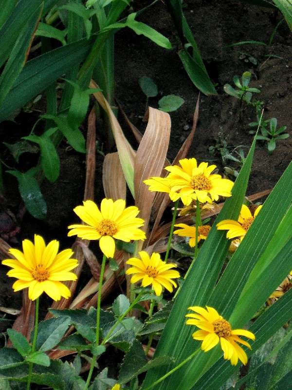 ... ����� Natali  ��������� �� PhotoGeek.ru #������ ��� ������� #����� ��������������