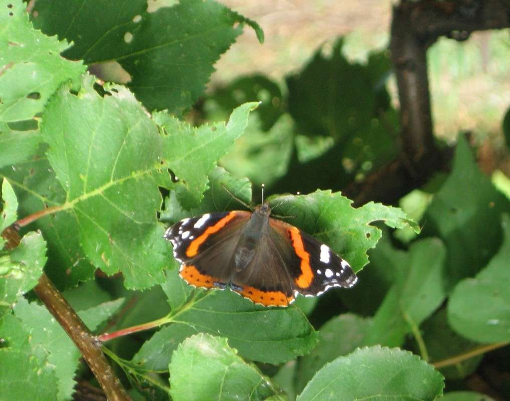 ... ����� Natali  ��������� �� PhotoGeek.ru #�������� ��� #������ ��� �������