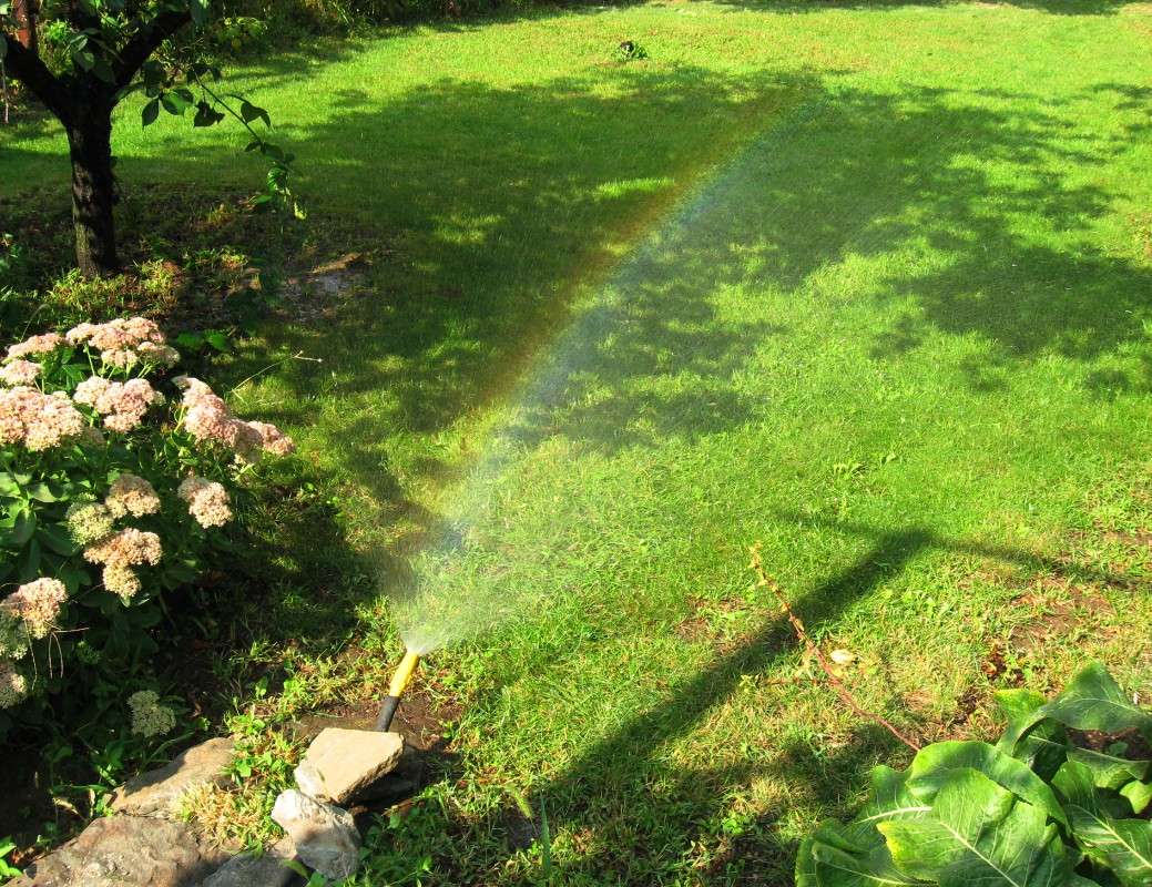 ������ �����������  : -- ))) ����� Natali  ��������� �� PhotoGeek.ru #������ ��� �������