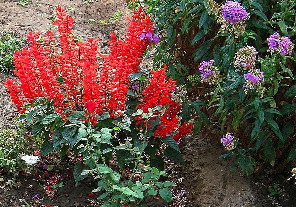 ������� ����� Natali  ��������� �� PhotoGeek.ru #������ ��� ������� #����� ��������������